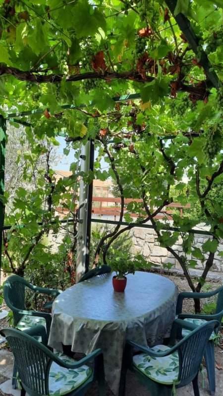 Apartman Katarina * Cres